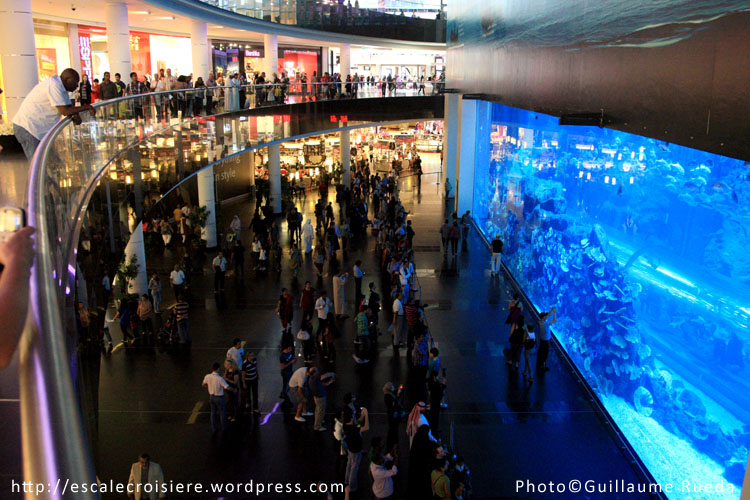 Aquarium du Dubaï mall