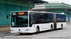 Le Havre - Terminal Croisière - Navette