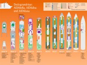 Plan des ponts AIDAluna, AIDAbella, AIDAdiva