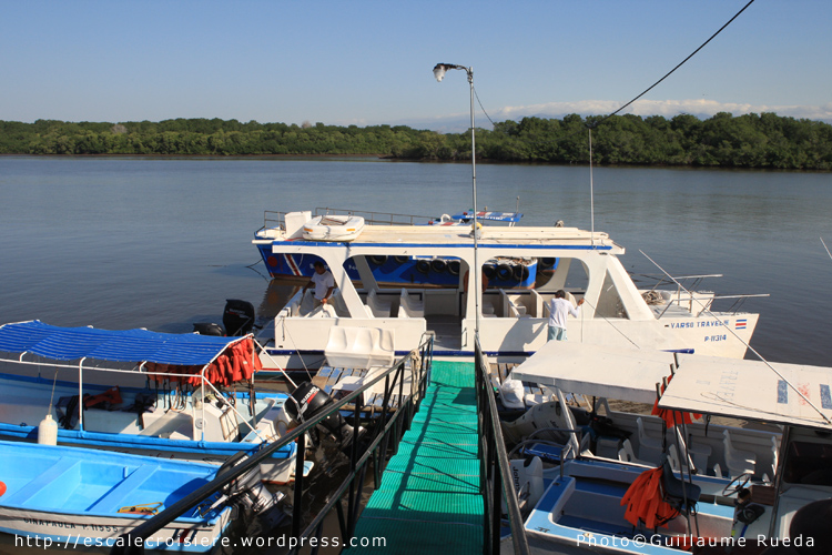 Puntarenas - Croisière dans l'estuaire