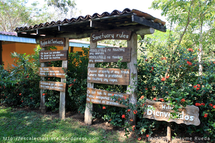 Puntarenas - Scarlet Macaw Sanctuary