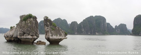 Baie d'Halong - Combat de coqs