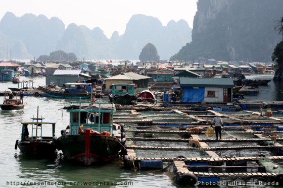 Baie d'Halong pêcheurs