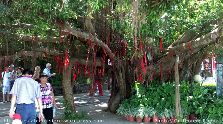 Luhuitou Park - Arbre à voeux - Sanya