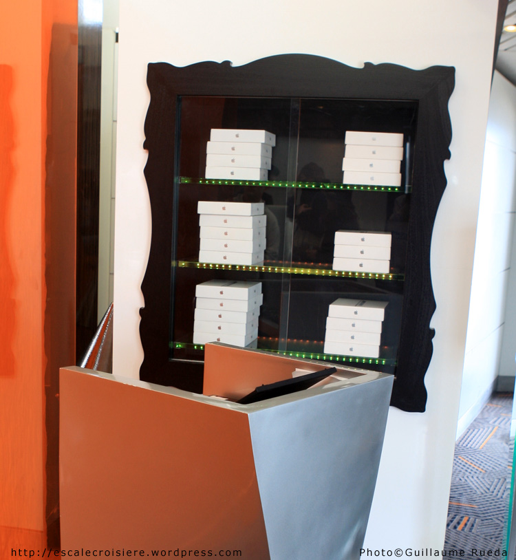 Qsine - Celebrity Infinity