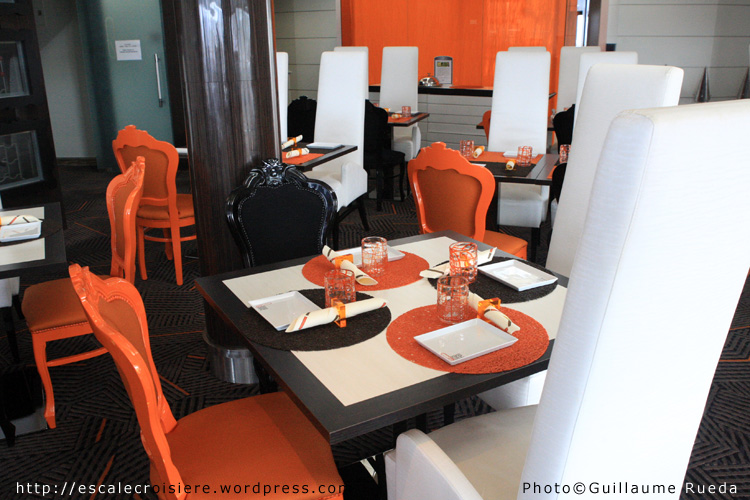 Qsine - Celebrity Infinity