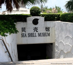 Yalong Bay - Musée du coquillage - Sanya