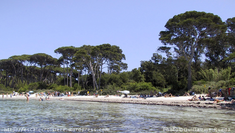 Plage Porquerolles