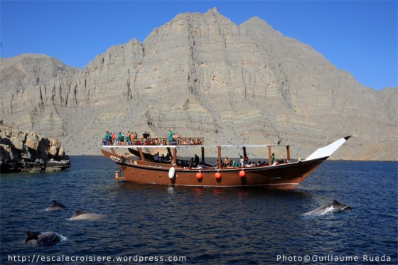 Khasab-dhow-dauphins