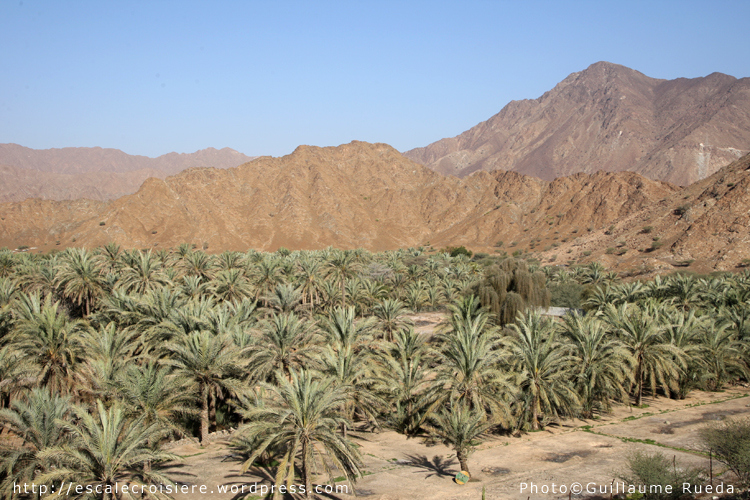 Fujairah - Al Badiya