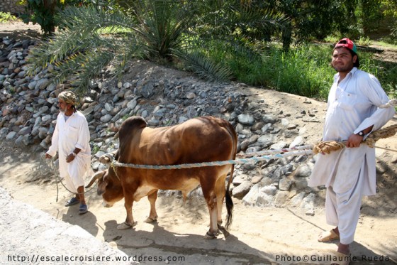 Fujairah - Heritage Village