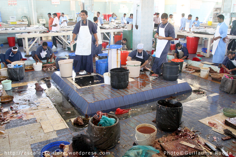 Fujairah - marché au poisson