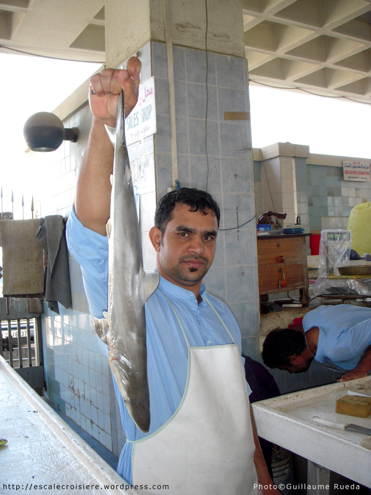 Fujairah - marché au poisson