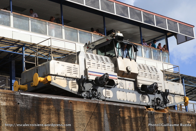 Canal de Panama - Mules Ecluses de Gatun