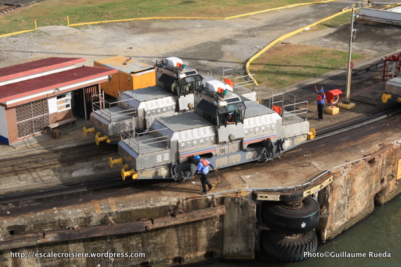 Canal de Panama - Mules Ecluses de Gatun