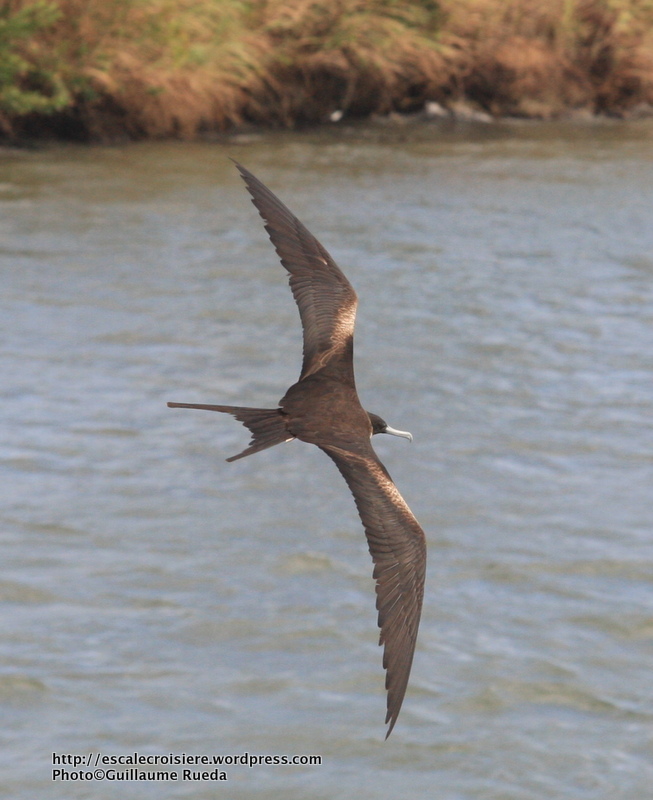 Canal de Panama - Frégate