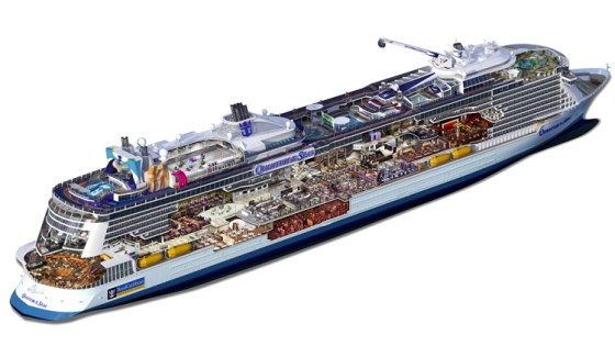 Quantum of the Seas - Ecorché