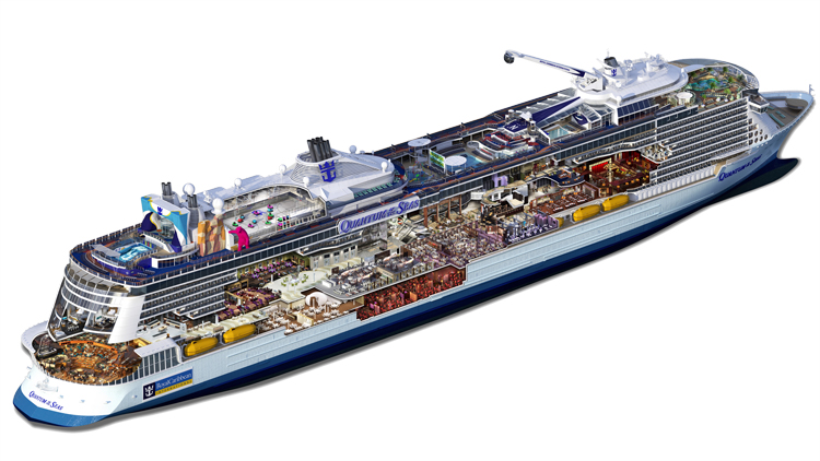 Quantum of the Seas - Ecorché