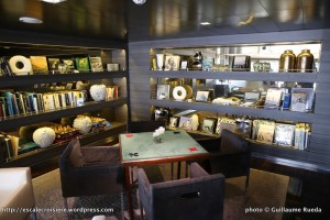 L'Austral - Salon panoramique