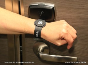 Quantum of the Seas - WoW Band