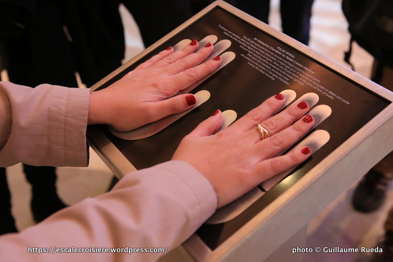 Anthem of the Seas - Art