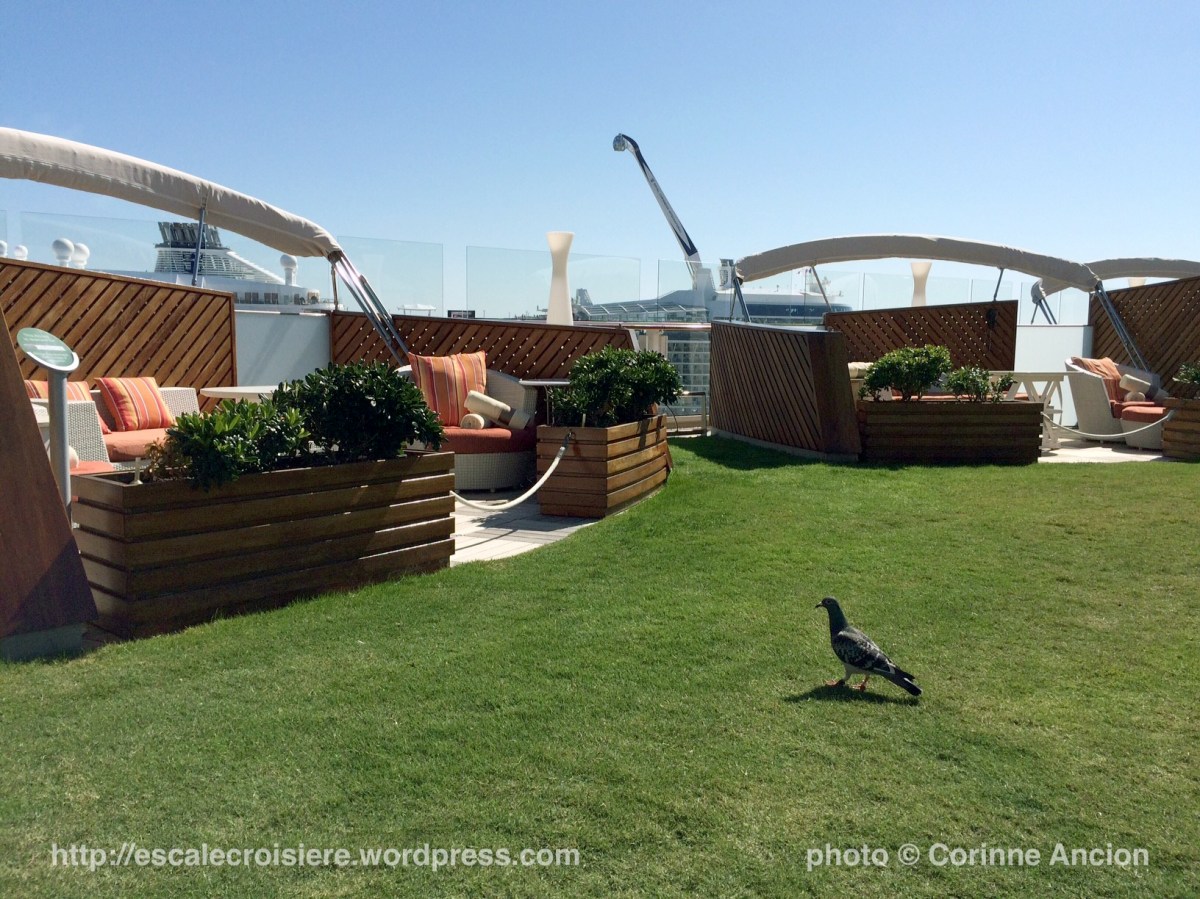 Celebrity Silhouette