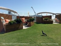 Celebrity Silhouette