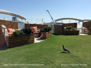 Celebrity Silhouette