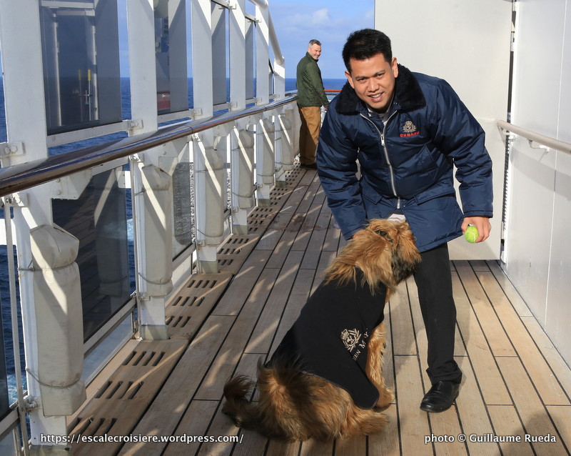 Queen Mary 2 - Chenil - Oliver