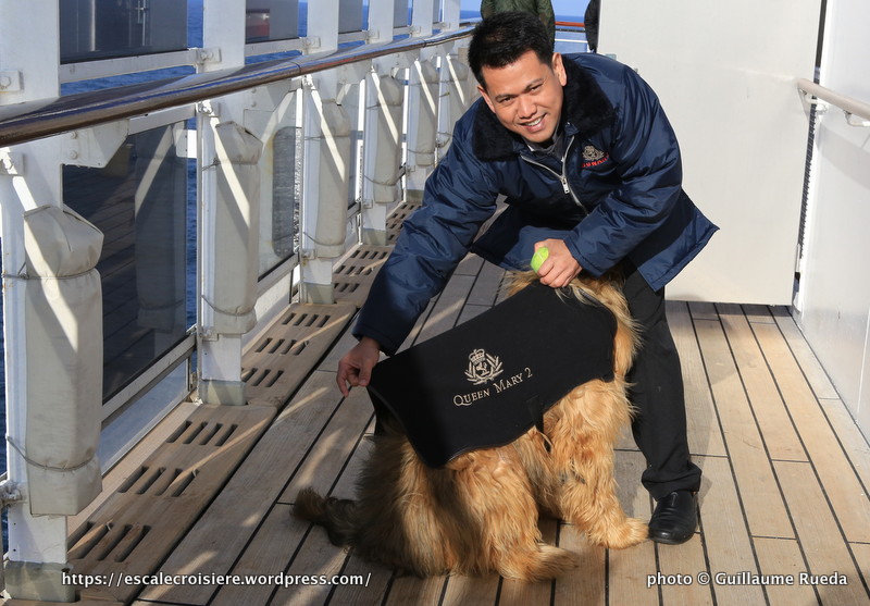 Queen Mary 2 - Chenil - Oliver