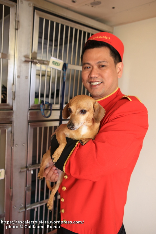 Queen Mary 2 - Chenil - Oliver