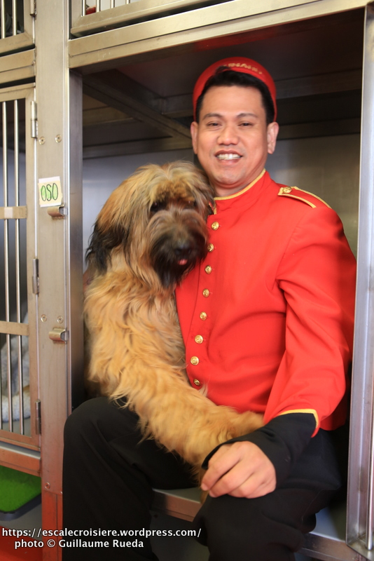 Queen Mary 2 - Chenil - Oliver