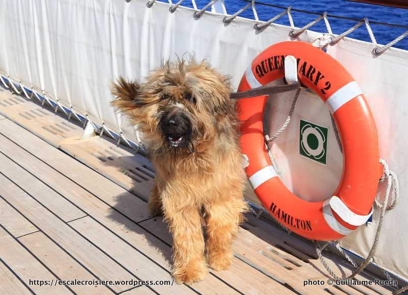 Queen Mary 2 - Chenil - Oliver