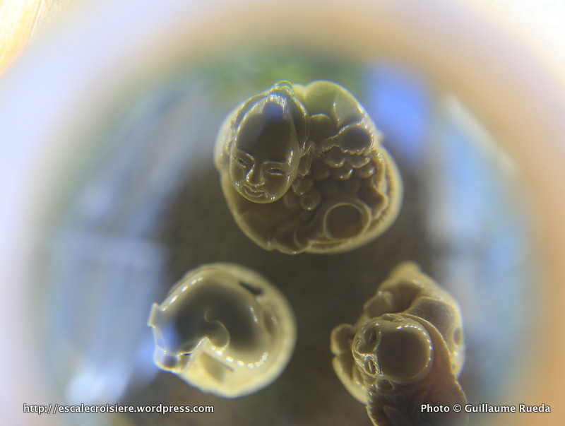 Allure of the Seas - Central Park - Small Wonders