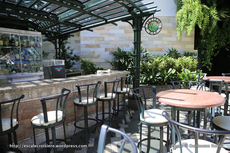 Allure of the Seas - Central Park - Trellis bar