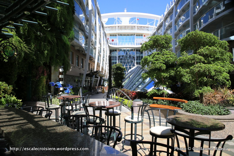 Allure of the Seas - Central Park - Trellis bar