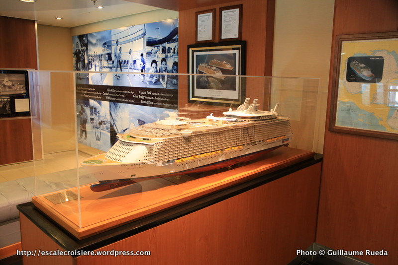 Allure of the Seas - Musée