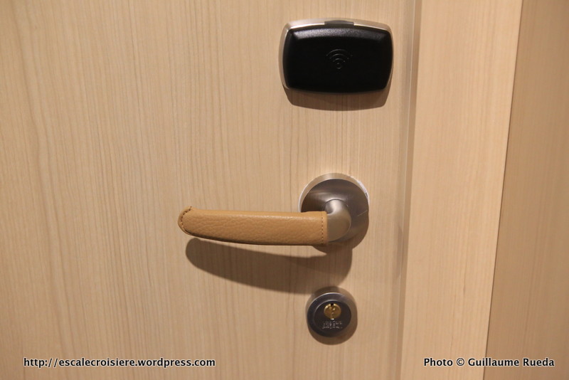 Viking - poignée en cuir