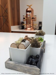 Viking Star - Winter Garden