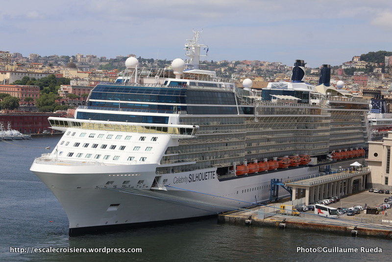 Celebrity Silhouette