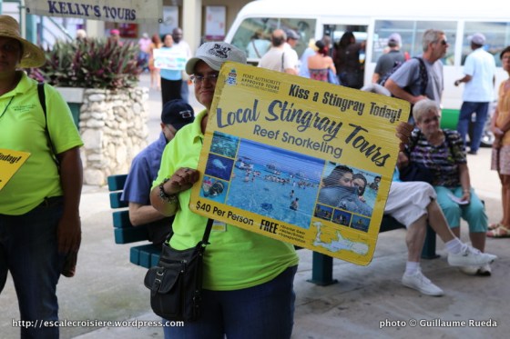 Grand Cayman - George Town - Stingray City