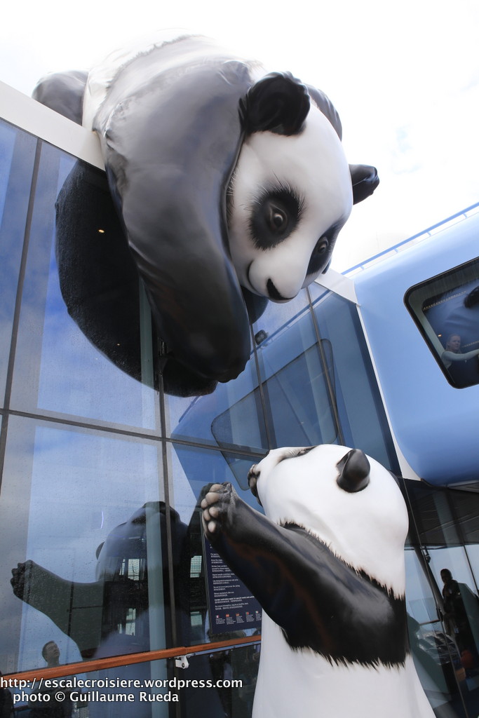 Ovation of the Seas - Panda
