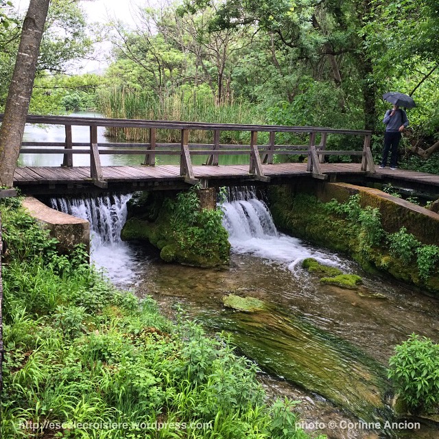 Chute d'eau et cascades de Krka - Croatie