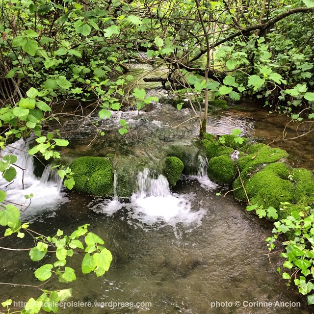 Chute d'eau et cascades de Krka - Croatie