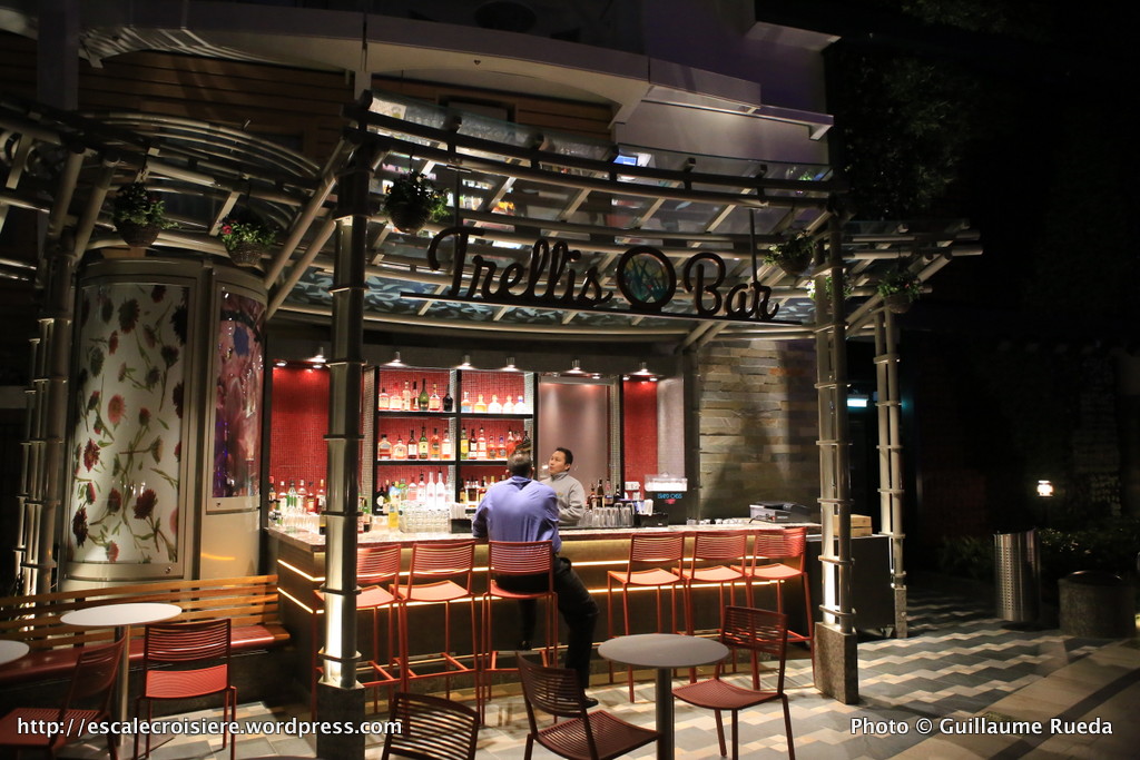 Harmony of the Seas - Trellis Bar