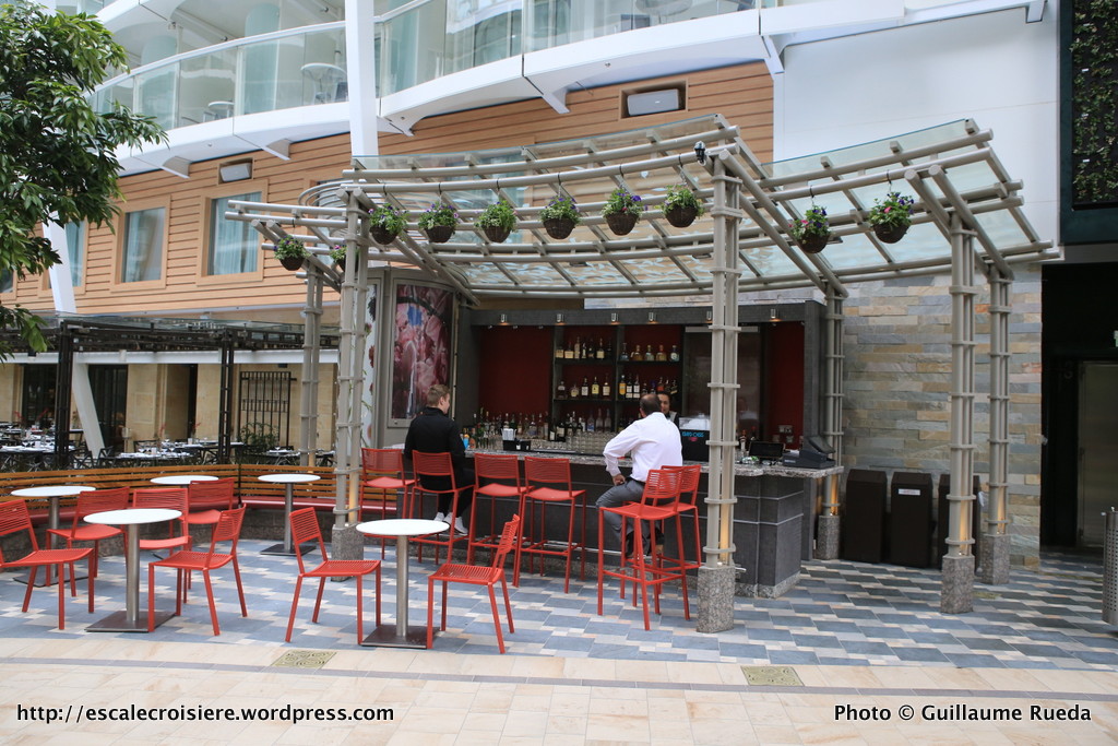 Harmony of the Seas - Trellis Bar
