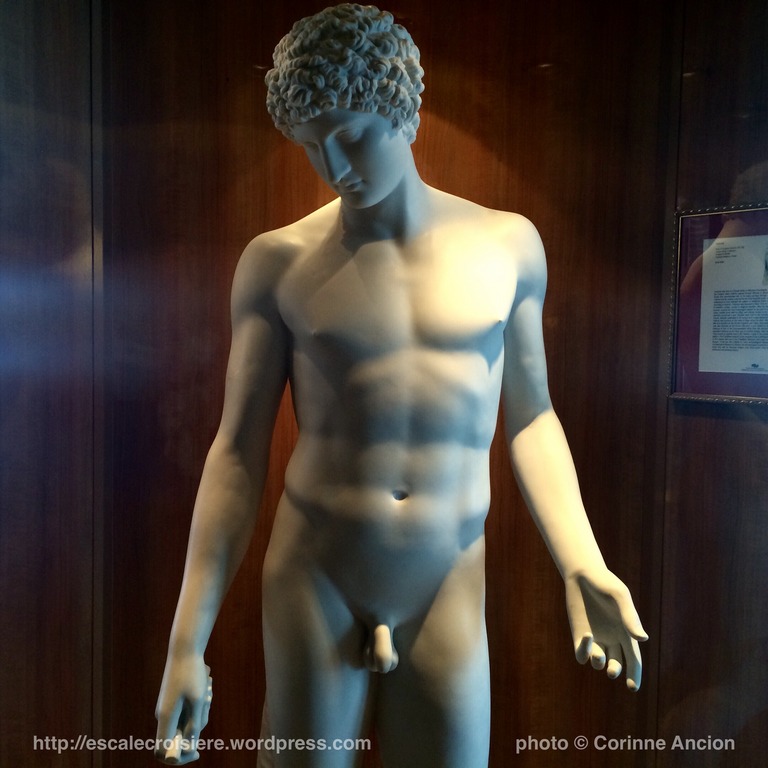 Seven Seas Navigator - Canyon Ranch Spa