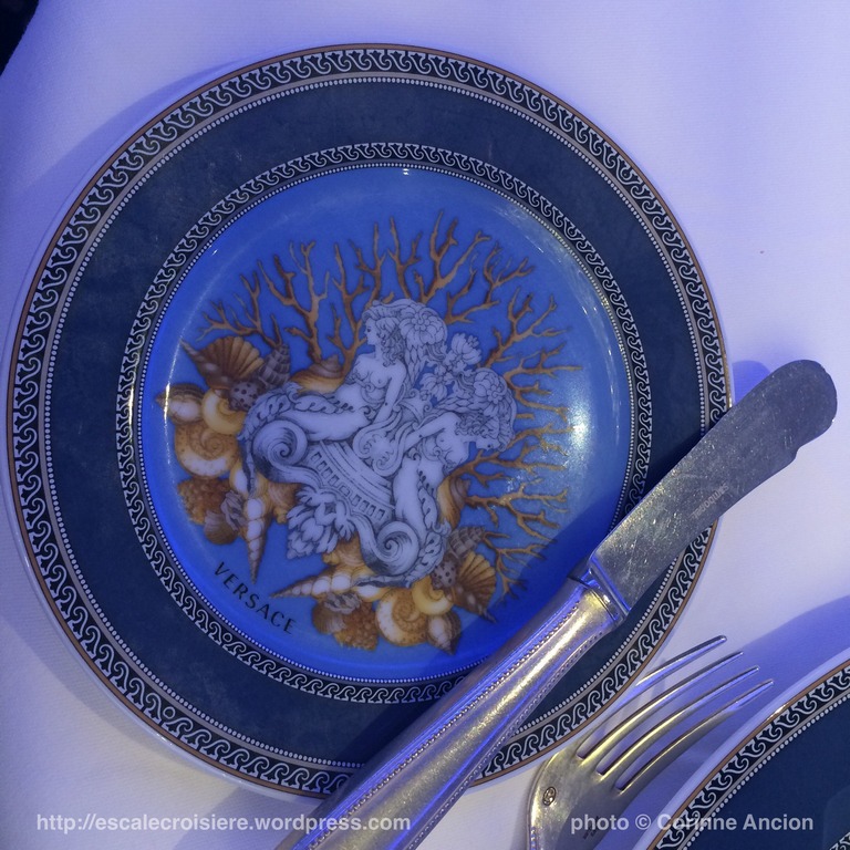 Seven Seas Navigator - Compass Rose