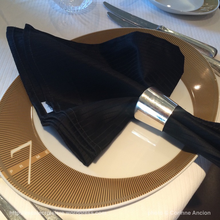 Seven Seas Navigator - Prime 7