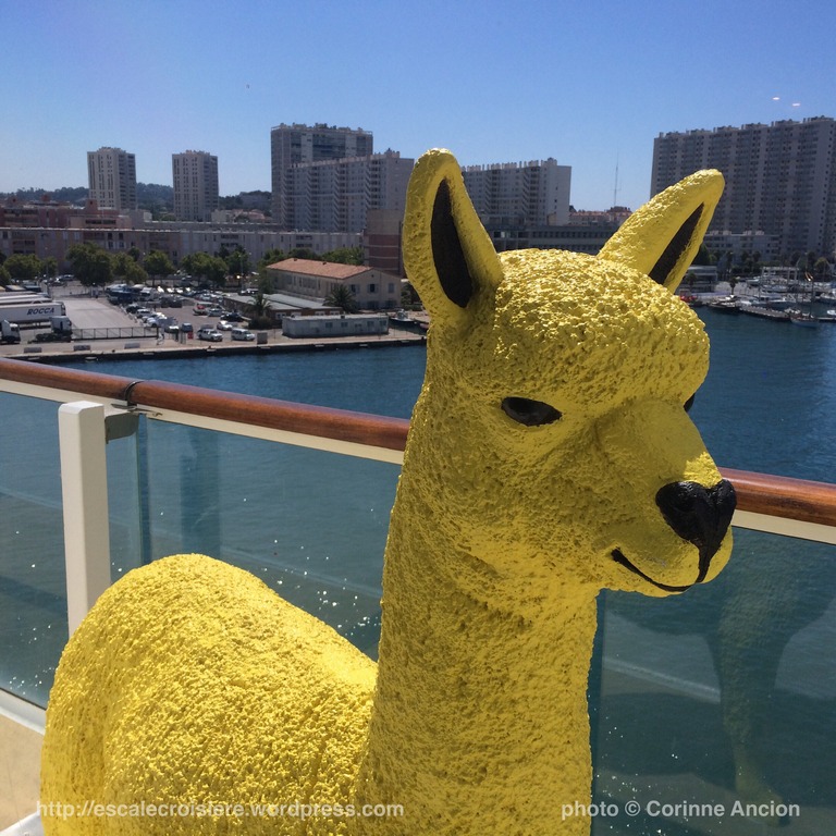 TUI Discovery - Coffee Port